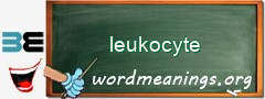 WordMeaning blackboard for leukocyte